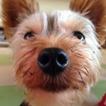 11931147_1480975865530768_1256049775_a