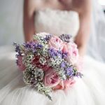 11950679_1733888646834982_1330423407_a