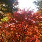 12142275_761197773990907_127106187_a