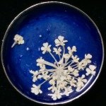 11192897_489123067930171_1280802565_a