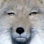 11821897_410325165834731_1487560805_a