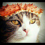 11821279_1684951971726141_533320275_a