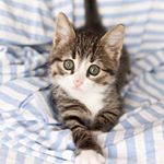 12063077_762107987228613_1062773183_a