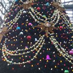 12277363_197246850613323_729132655_a