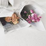 12105050_510737089086305_1607006787_a