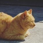 12093426_699986740136000_911054030_a