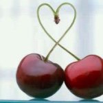 10919165_779523998750610_382821813_a