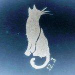 11176331_693858957407781_45857632_a