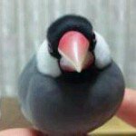 11348105_1641987022752777_1756911653_a