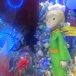 11906298_718558054955786_2124381962_a