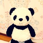 11324470_1618624561725158_667709976_a