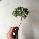 927402_471116873031351_984789017_a