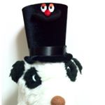 12145139_857810737666017_1340919022_a