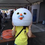 914391_1664272020466278_1990077275_a