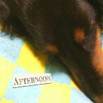 11249434_1626368134306214_1143301434_a