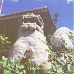 12393795_723642954437329_1268370421_a