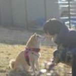 11356831_1702708356623775_881578055_a