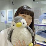 12338974_614591155348808_22747779_a