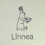 11032939_361091394096855_25445353_a