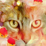 11326450_1666708490216795_1781076528_a