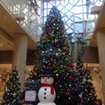 12301318_1750330631855762_682464108_a