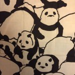 11253660_817635731657510_956623685_a