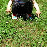 11363665_1655695408004879_787801201_a