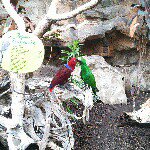 11055781_1022671934429364_1977606303_a