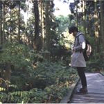 11820634_392013357660983_897613796_a