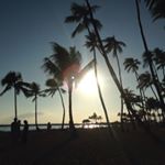 12080654_784445511666301_529868933_a