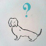 11377895_382844718573497_814539949_a