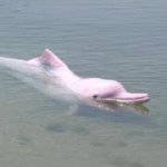 11887072_478173812353842_1996753647_a