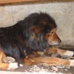 12224648_140238556341624_672957183_a