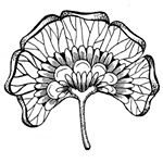 11374007_489974441177806_159268299_a