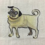 11263639_961774330523791_1690633995_a