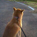 10597352_598507043595690_557188037_a