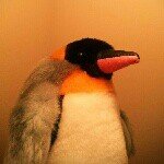 11887066_1615906005349156_162159177_a