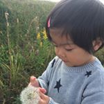 11820609_1712231899009643_1964958688_a