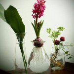 10894985_1574296542821168_1274719432_a