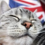 11848830_1625551674380889_1215787582_a