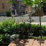 925532_1492898410946951_2129470149_a