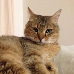 11192614_821823884566131_1045040716_a