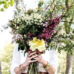 12139646_175950759416344_824842704_a