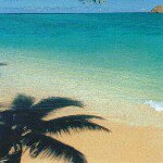 11849066_1618145171772756_113909346_a