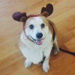 10890509_1523903424561099_965189020_a