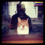 11428623_1632741733631854_1025748627_a