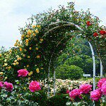 11325652_659691890802526_427204534_a