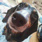 11024108_374341212766097_1522008127_a