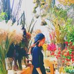 11848900_829054033876566_1909260071_a