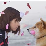 12062993_113767702312816_1202870400_a